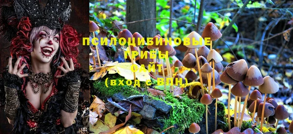 mdma Михайловск
