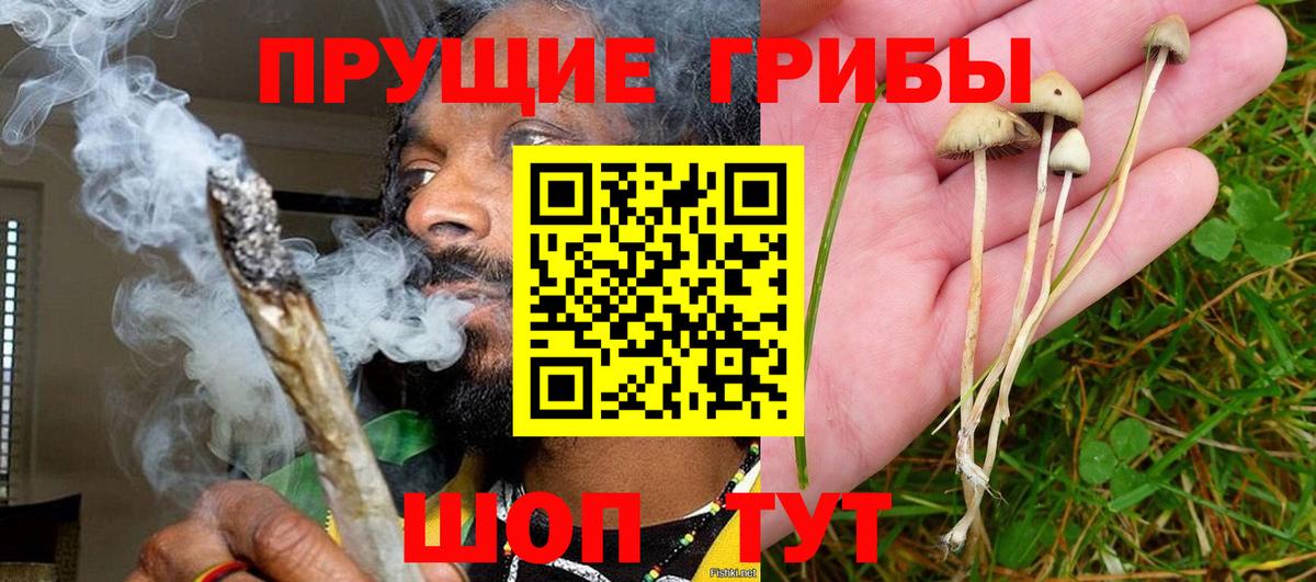Барнаул  Псилоцибиновые грибы мицелий  Вход с VPN 