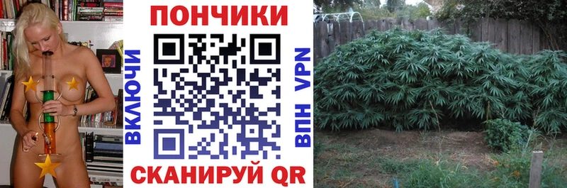 Купить закладки  Барнаул  МАРИХУАНА тримм 